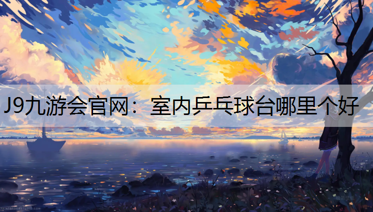 室内乒乓球台哪里个好