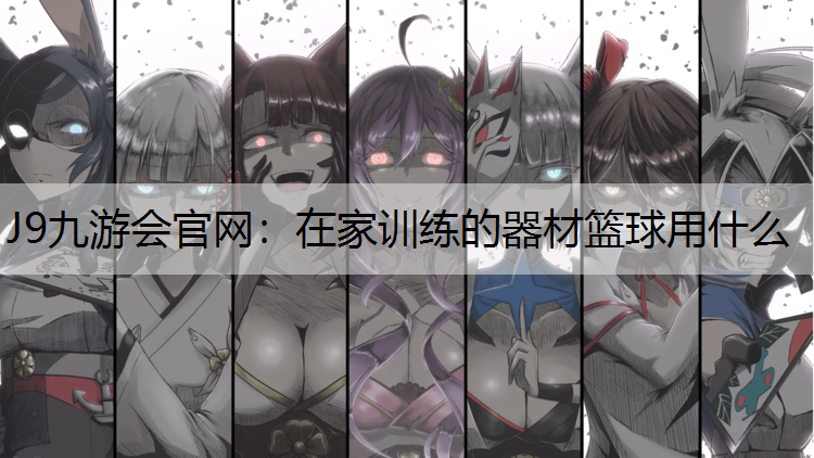 在家训练的器材篮球用什么
