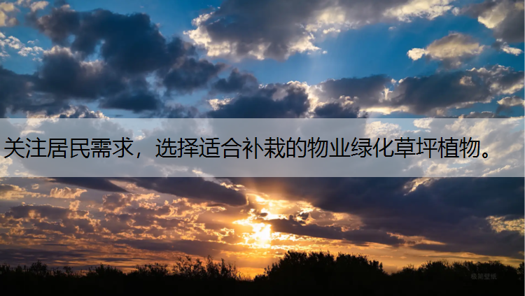 关注居民需求，选择适合补栽的物业绿化草坪植物。