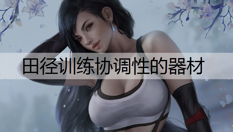 田径训练协调性的器材