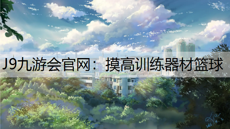 摸高训练器材篮球