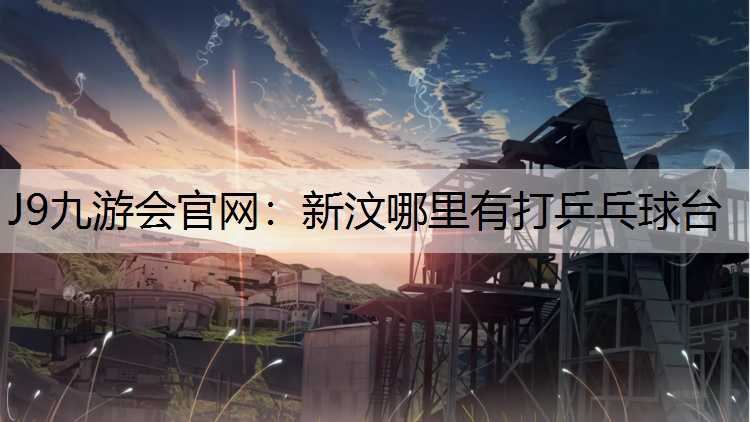 新汶哪里有打乒乓球台