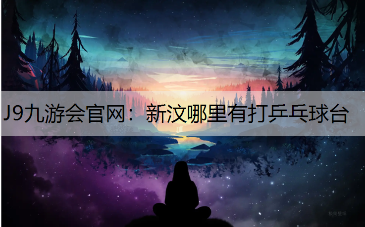 新汶哪里有打乒乓球台