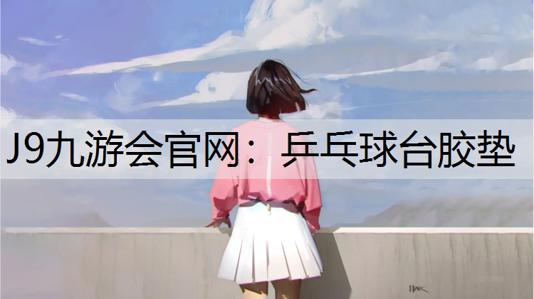 乒乓球台胶垫
